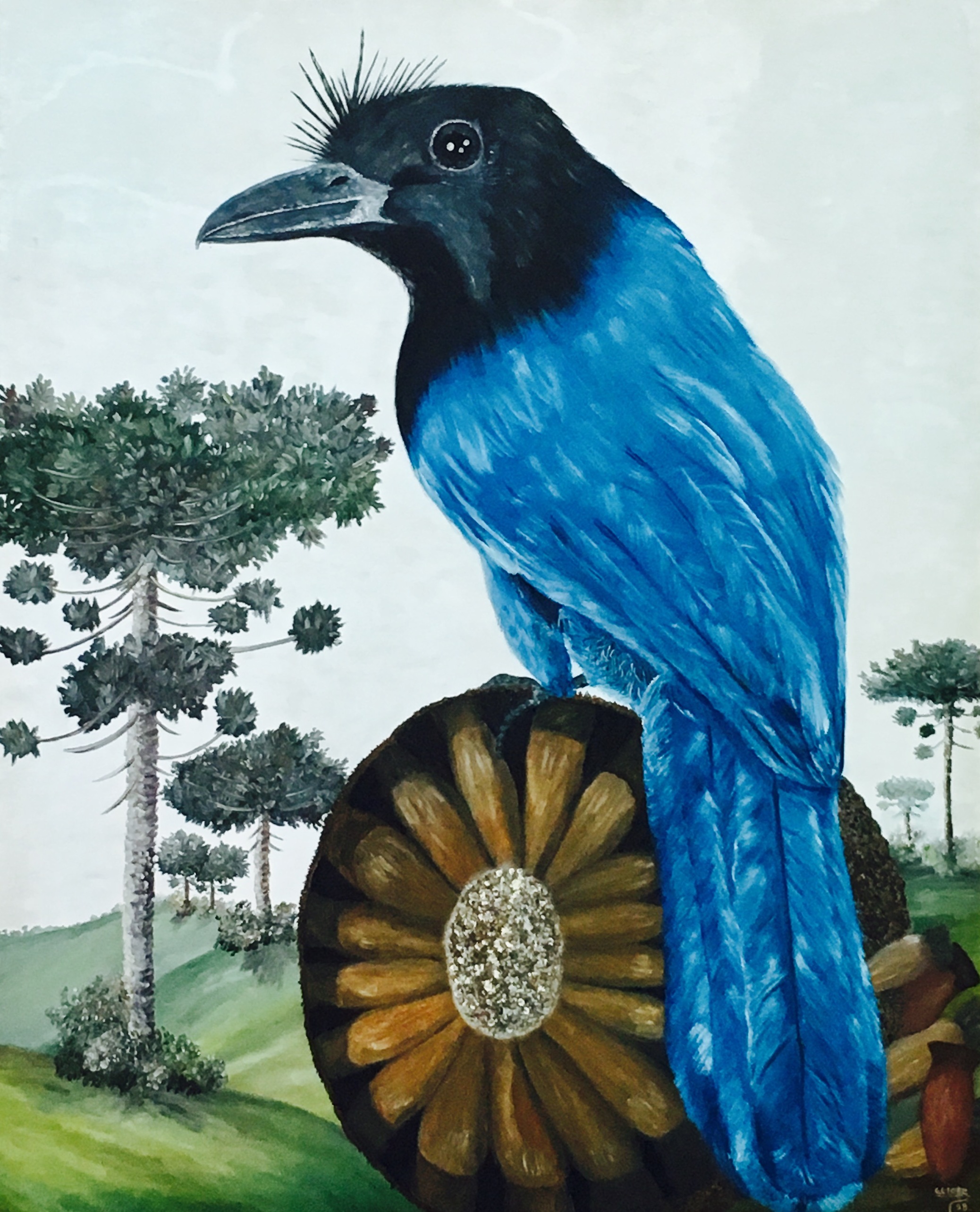 A Gralha Azul